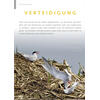 FOTOGALERIE VERTEIDIGUNG