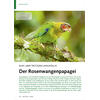 BUNT ABER TROTZDEM UNAUFFLLIG DER ROSENWANGENPAPAGEI