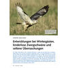 VOGELWELT AKTUELL WINTER 2024/ 2025  ENTWICKLUNGEN BEI WINTER GSTEN, KINDERLOSE ZWERGSCHWN