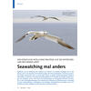 WIE KNSTLICHE INTELLIGENZ SEE VGEL ENTDECKEN UND BESTIMMEN LERNT SEAWATCHING MAL ANDERS