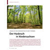 URWALD IN DER NORDWESTDEUTSCHE TIEFEBENE DER HASBRUCH IN NIEDERSACHSEN