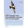 FRHJAHR 2025 FRHE ZUGVGEL KAUM FELSENSCHWALBEN UND FAST EINE NEUE BRUTVOGELART