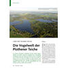 LAND DER TAUSEND TEICHE DIE VOGELWELT DER PLOTHENER TEICHE