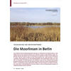 VOGELVIELFALT AM GROSSSTADTRAN D DIE MOORLINSEN IN BERLIN