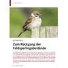 AUF DER SPUR ZUM RÜCKGANG DER FELDSPERLINGSBESTÄNDE