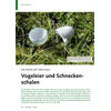 DIE SACHE MIT DEM KALK VOGEL EIER UND SCHNECKENSCHALEN