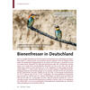GEBREMSTES POPULATIONSWACHSTUM UND REGIONALE UNTERSCHIEDE BIENENFRESSER in DEUTSCHLAND