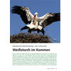ENORME BESTANDSZUNAHME, VIELE URSACHEN WEISSSTORCH IM KOMMEN