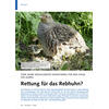 F�NF JAHRE SPEZIALISIERTES MONITORING F�R DEN VOGEL DES JAHRES RETTUNG F�R DAS REBHUHN