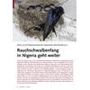 NEUE SCHUTZBEMÜHUNGEN DRINGEND ERFORDERLICH RAUCHSCHWALBEN FANG IN NIGERIA GEHT WEITER
