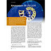 AMMONITEN IM UV-LICHT