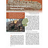 DER FOSSILE GEYSIR VON RIEDSCHINGEN