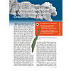 EIN WINZIGER PANZERWURM IN 3-D-ERHALTUNG AUS DEM ORDOVIZIUM VON LAND