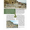 JURASSISCHE TRIGONIEN - EIN LEHRBUCH-BEISPIEL FR FOSSILERHALTUNG