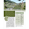 BEILSTEIN AN DER MOSEL: DAS (ERD)GESCHICHTLICHE DORNRSCHEN