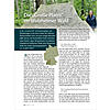 DIE GROSSE PLATTE IM WELZHEIMER WALD