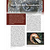NAUTILIDEN DES MESOZOIKUMS