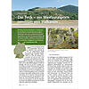 DIE TECK - EIN WEISSJURASPORN INMITTEN VON VULKANEN