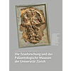DIE TRIASFORSCHUNG UND DAS PALONTOLOGISCHE MUSEUM DER UNIVERSITT ZRICH
