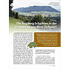 DIE BELPBERG-SCHICHTEN IN DER UMGEBUNG VON BERN (SCHWEIZ)