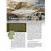 TRILOBITEN IM BERGISCHEN LAND UND IM NORDWESTLICHEN SAUERLAND