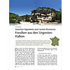 ZWISCHEN OPPEDETTE UND CARNIOL (PROVENCE): FOSSILIEN AUS DEN URGONIEN-KALKEN
