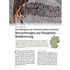DAS ROTLIEGEND VON CHEMNITZ-GA BLENZ (SACHSEN) - BETRACHTUNGE N ZUR PECOPTERIS-BEBLTTERUNG