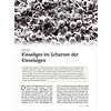 KIESELIGES IM SCHATTEN DER KIESELALGEN