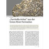 TURRITELLA-ACHAT AUS DER GREEN RIVER FORMATION