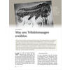 WAS UNS TRILOBITENAUGEN ERZHLEN