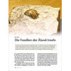 DIE FOSSILIEN DER ALAND-INSELN