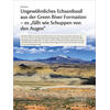 UNGEWHNLICHES ECHSENFOSSIL AUS DER GREEN RIVER FORMATION