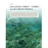 TANZ AUF DEM VULKAN - FOSSILIEN AUS DEM MIOZN MADEIRAS