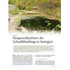 KEUPERSCHLUCHTEN: DIE SCHWLBLESKLINGE IN STUTTGART