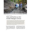 HAIE UND ROCHEN AN DER KREIDE- PALOGEN-GRENZE