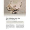 SAURIERMUSEUM FRICK: 210 MILLIONEN JAHRE ALTE PLATEOSAURIER & CO