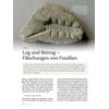 LUG UND BETRUG - FLSCHUNGEN VON FOSSILIEN