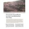 DEVONISCHE KNORPELFISCHE AUS DEM MAROKKANISCHEN ANTI-ATLAS