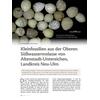 KLEINFOSSILIEN AUS DER OBEREN SSSWASSERMOLASSE VON ALTEN- STADT-UNTEREICHEN LK. NEU-ULM
