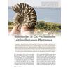 BALATONITES & CO. - TRIAS- SISCHE LEITFOSSILIEN VOM PLATTENSEE