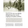 VOM EI ZUM HAI: WIE DIGITALE BILDGEBUNG EINEN NEUEN ZUGANG ZU FOSSILIEN ERÖFFNET
