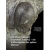 DIE SÖRVE-HALBINSEL (SAAREMAA ESTLAND) - EIN SCHLÜSSELGEBIET DER SPÄTEN SILURZEIT