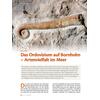 DAS ORDOVIZIUM AUF BORNHOLM - ARTENVIELFALT IM MEER