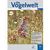 DIE VOGELWELT 141 (2023) HEFT 1