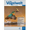 DIE VOGELWELT 142 (2025)