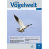 DIE VOGELWELT 142 (2026)
