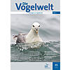 DIE VOGELWELT 140 (2020) HEFT 2