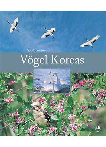 BEOM-JOO, VGEL KOREAS