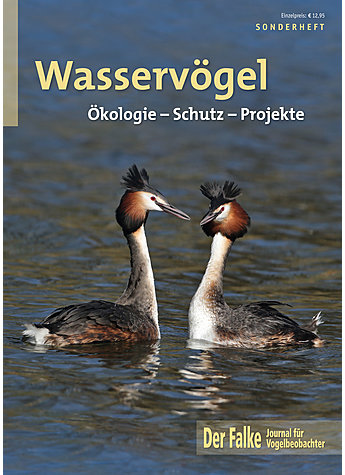 DER FALKE SONDERHEFT 2019 WASSERVGEL