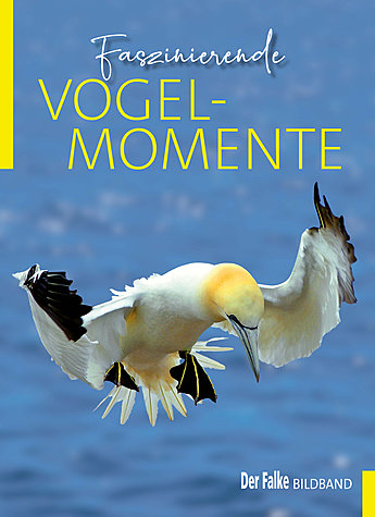 FASZINIERENDE VOGELMOMENTE